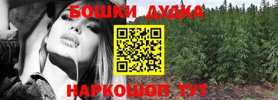 стафф Будённовск