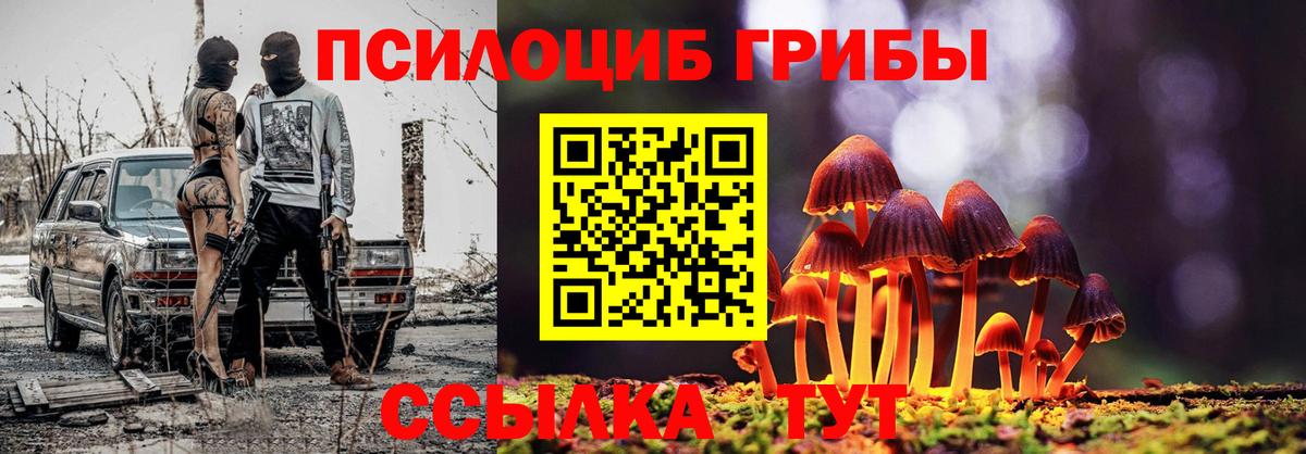 Псилоцибиновые грибы Psilocybine cubensis Людиново